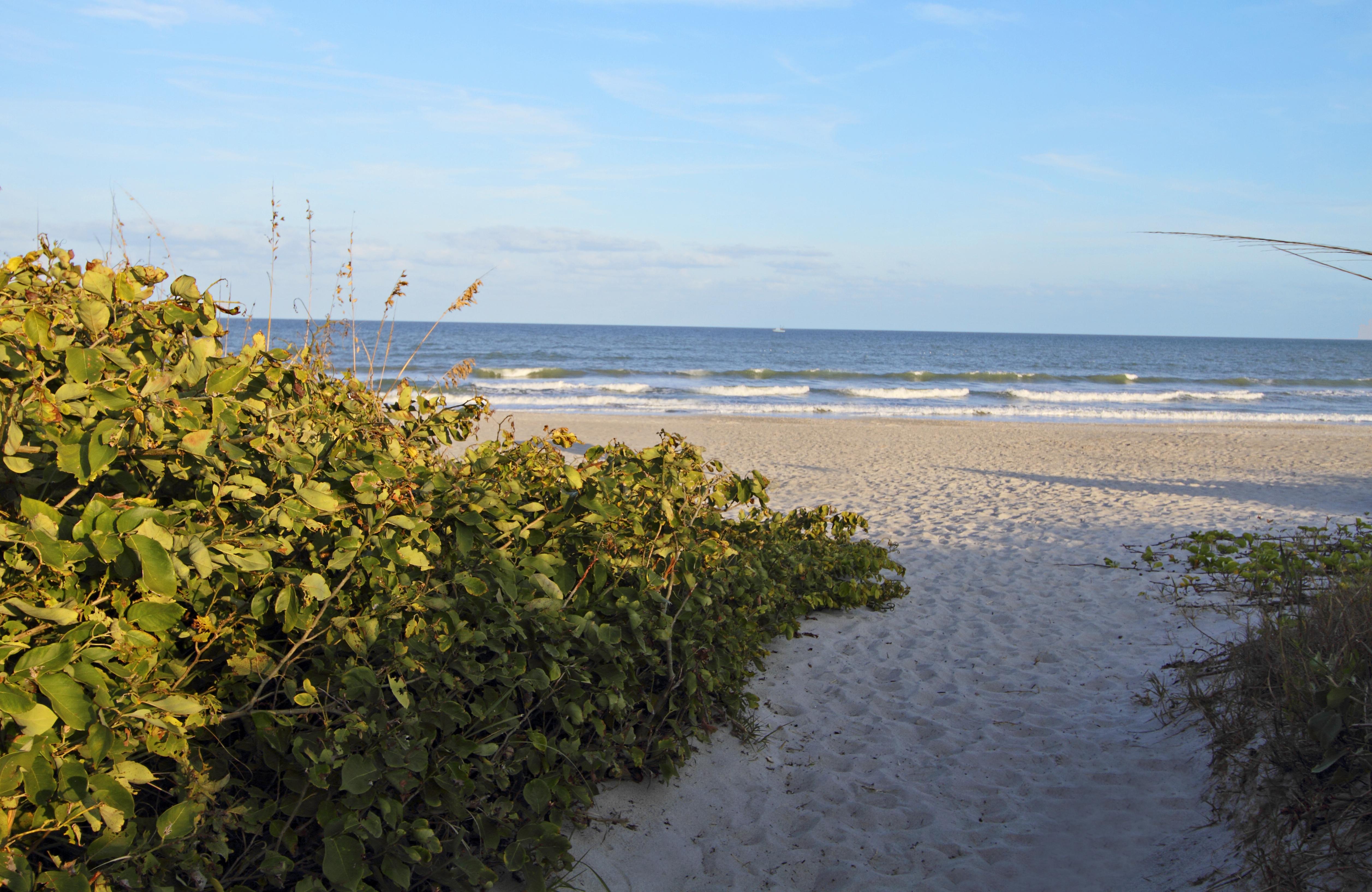 Courtyard By Marriott Cocoa Beach Cape Canaveral Luaran gambar